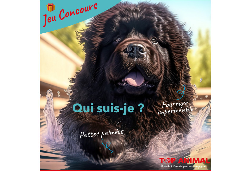 JEU CONCOURS !